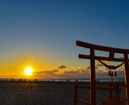 令和８年１月号