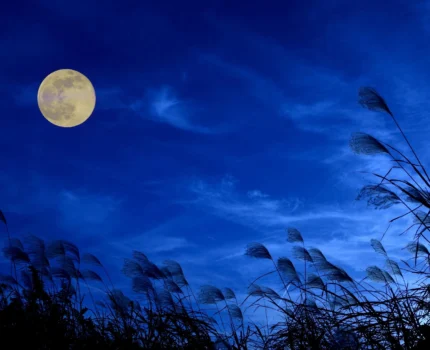 令和７年９月号