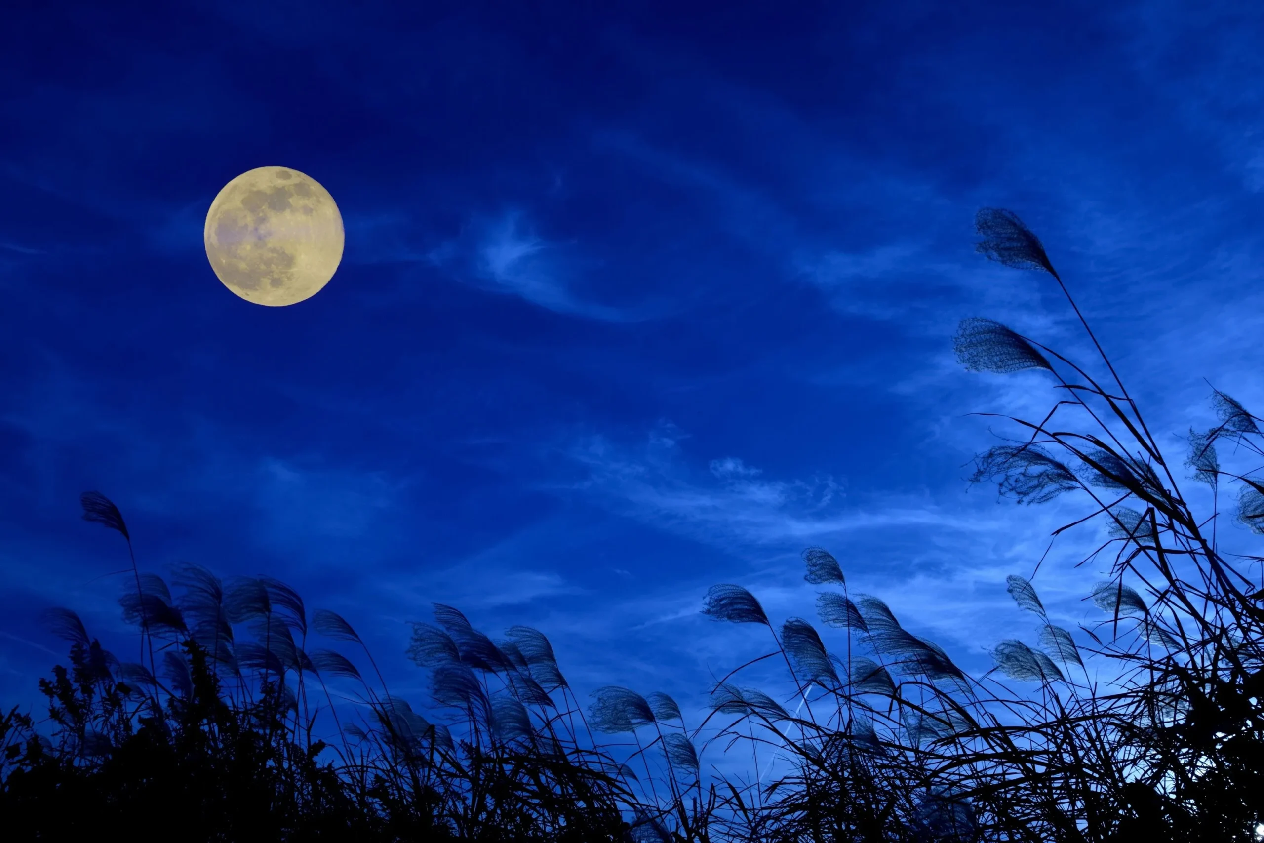 令和７年９月号