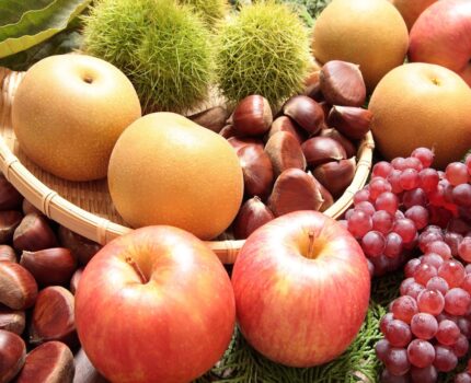 令和７年１０月号